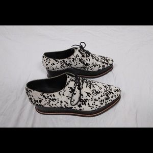 Opening Ceremony. Dalmatian Creepers